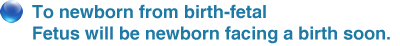 to newborn from birth-fetal Fetus will be newborn facing a birth soon.